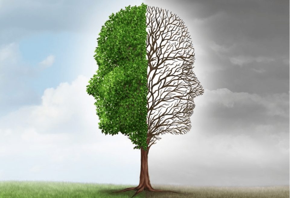 Screen Shot 2017-10-15 at 19.20.55.png