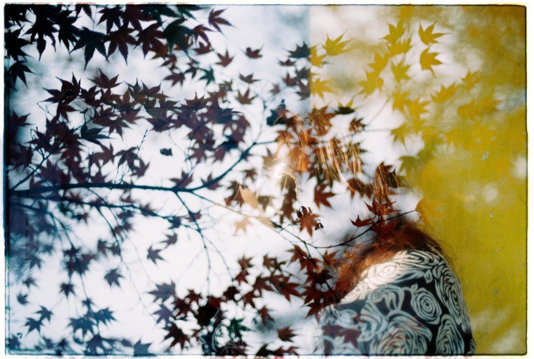 26034124736_169ac00635_k