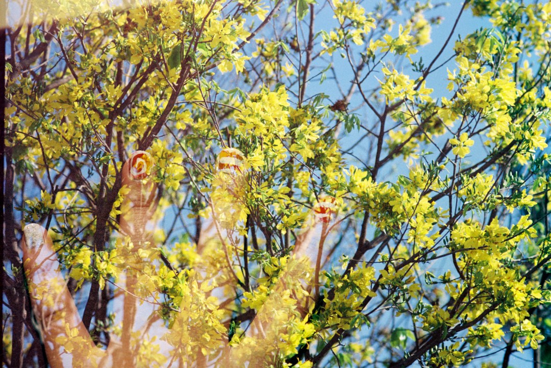 12883087643_c393998ce6_o