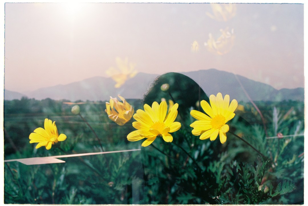 17336968796_06c473f575_o