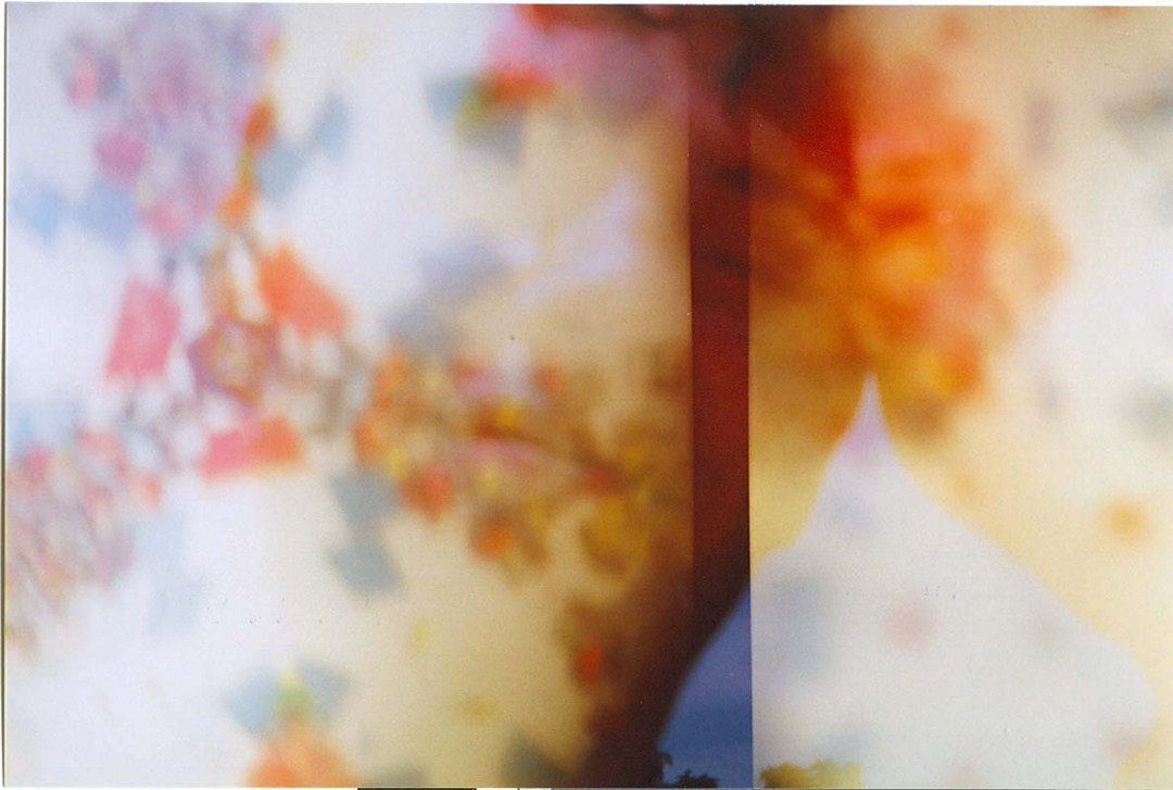 2929790051_e2c30e3388_o